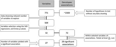 Hierarchical Data-Driven Analysis of Clinical Symptoms Among Patients With Parkinson's Disease